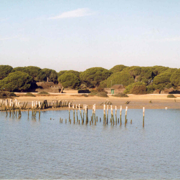 parque de doñana