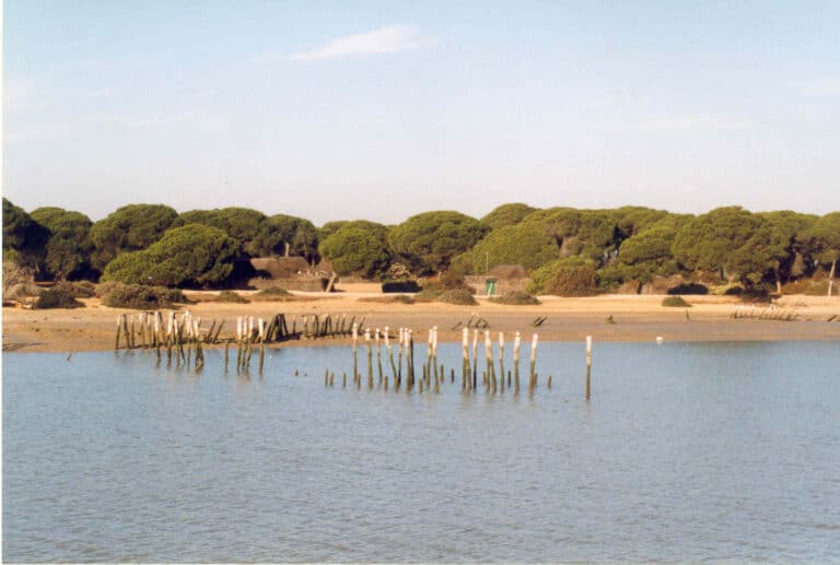 parque de doñana