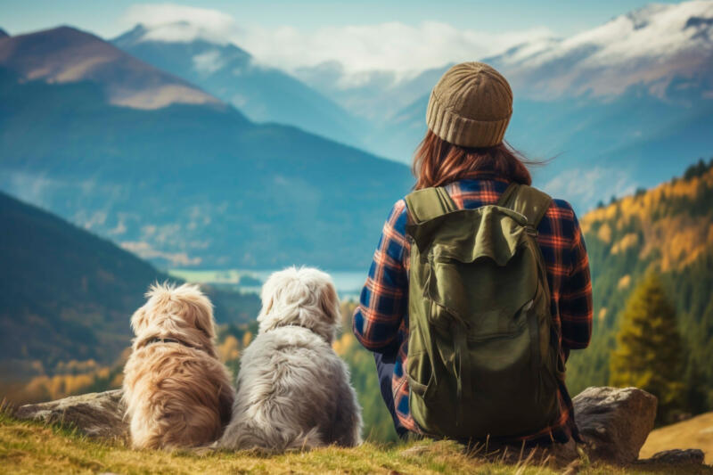 Andalucía pet-friendly: destinos y alojamientos cómodos para viajar con mascota 1 Andalucía pet-friendly