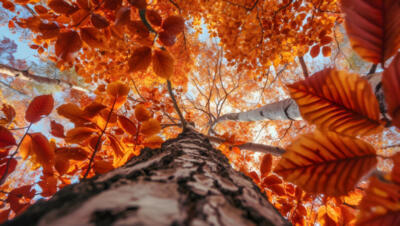 Andalucía en otoño